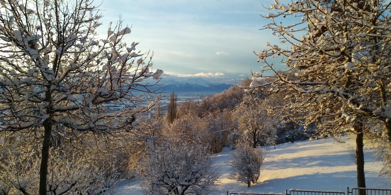 L'Albore Costigliole Saluzzo Zewnętrze zdjęcie